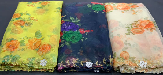 Organza Saree with Handcrafted Detailing