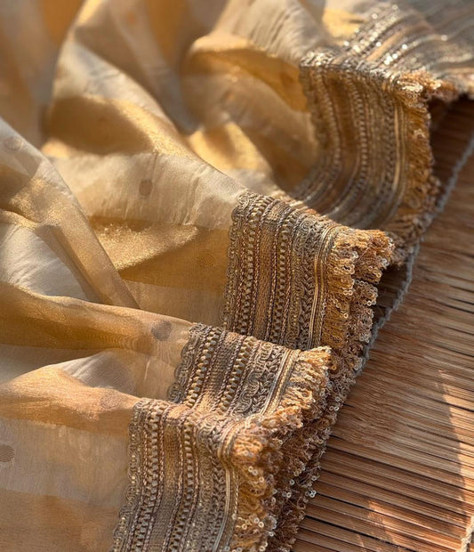 NAYAB Collection: Banarasi Soft Glass Tissue Silk Saree with Diamond Lace Work